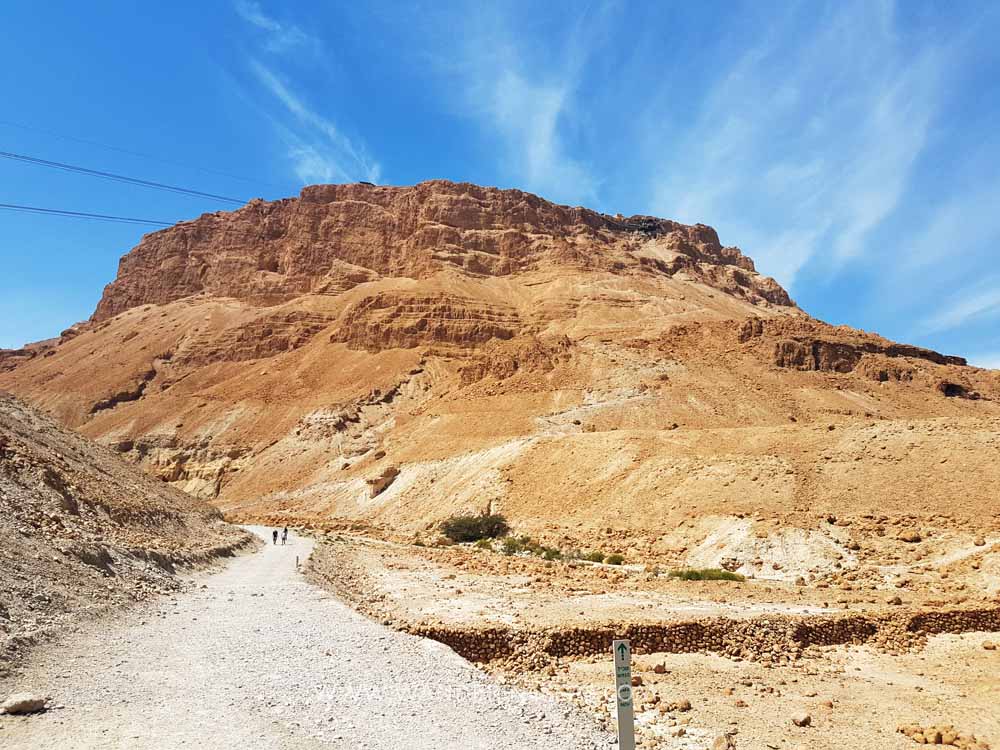 Day trip to Masada and Dead Sea